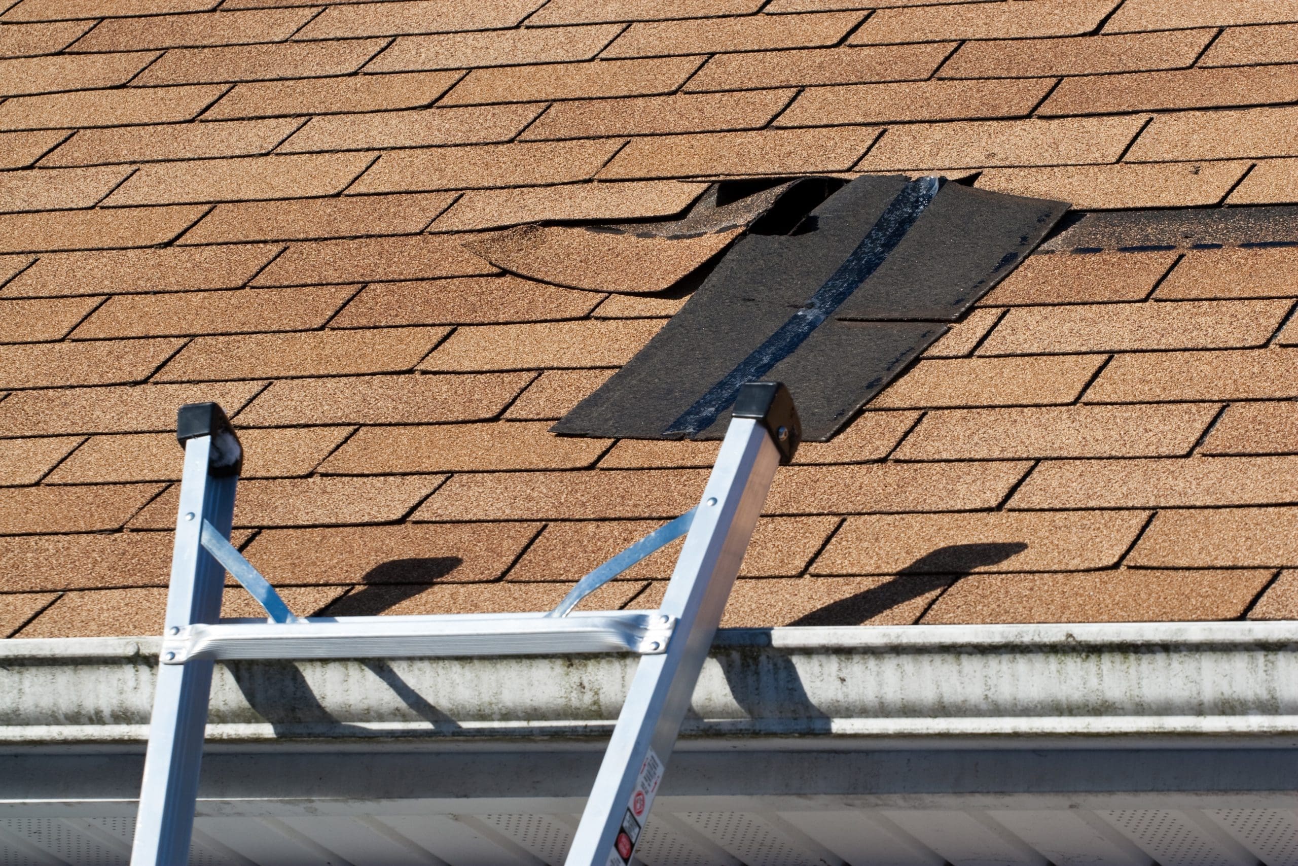 roof repair edwardsville il